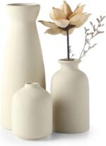 CEMABT Beige Ceramic vase Set-3 Small Flower vases for Decor24