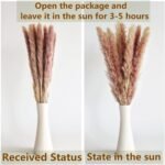 110 PCS of Boho Pampas Grass Decor - Image 3