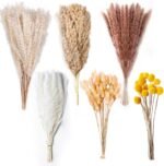 100PCS Natural Dried Pampas Grass Decor
