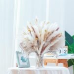 100PCS Natural Dried Pampas Grass Decor - Image 6